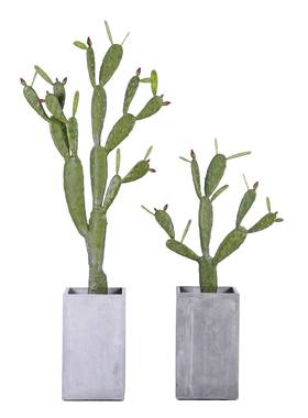 多现简盆354栽绿色清新仿真绿植办公桌摆饰无异味约塑料过胶代款