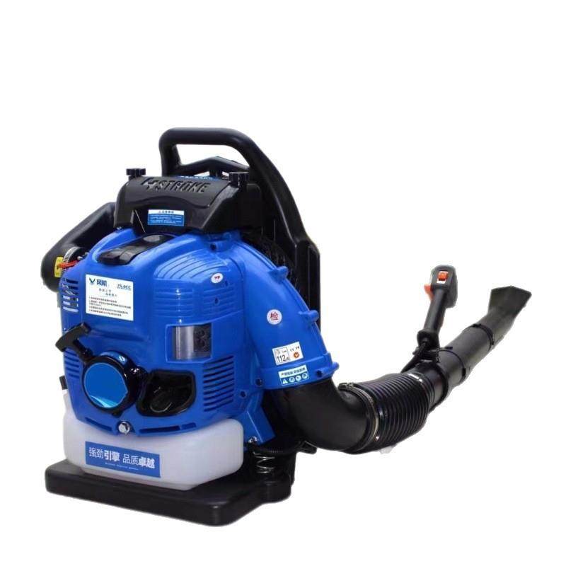 道神威尔肩背式吹灰机路面裂缝清理吹风机四冲程背负式汽油吹雪机,淘宝优惠券,粉丝福利购,淘宝优惠卷