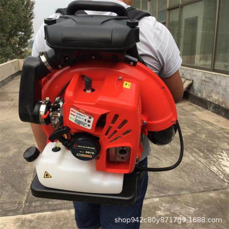 道神威尔肩背式吹灰机路面裂缝清理吹风机四冲程背负式汽油吹雪机,淘宝优惠券,粉丝福利购,淘宝优惠卷