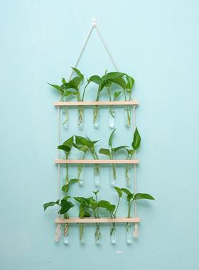 创新壁挂木质水培植物试管墙面悬挂花架水培玻璃容器家庭墙面装饰