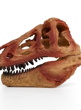 恐龙头骨模型树脂工艺品霸王龙骷髅头动物骨架研究参考动物骷颅头