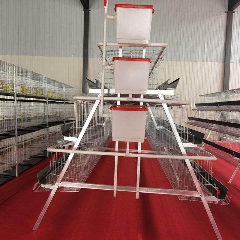 蛋鸡笼笼具阶梯式蛋鸡笼冷镀锌鸡笼鸡笼厂家,淘宝优惠券,粉丝福利购,淘宝优惠卷