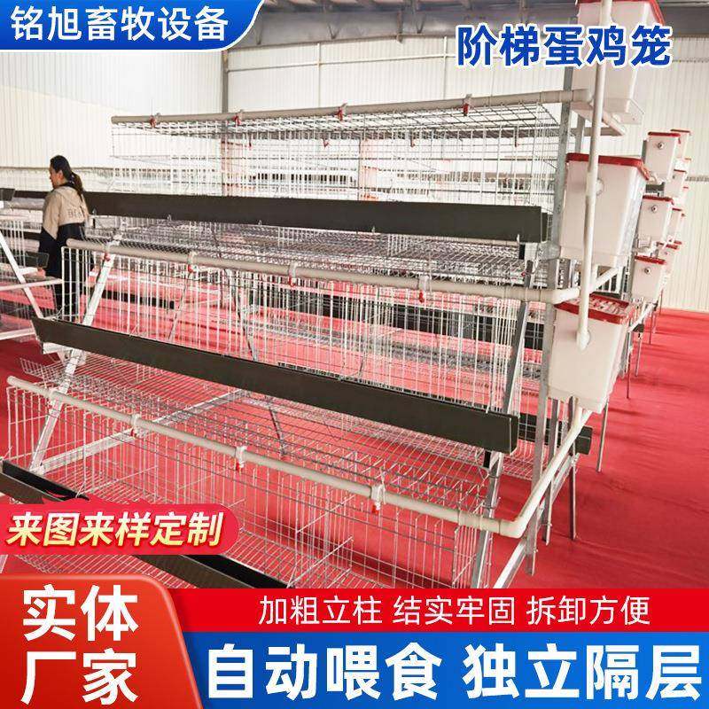 镀锌三层四门阶梯式蛋鸡笼畜牧大密度养殖提高产蛋量镀锌养鸡笼,淘宝优惠券,粉丝福利购,淘宝优惠卷