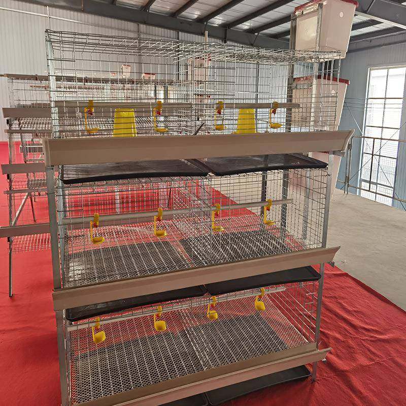 立式三层四层两门冷镀锌后热镀简易肉鸡笼鸡舍养殖场配套齐全坚固,淘宝优惠券,粉丝福利购,淘宝优惠卷