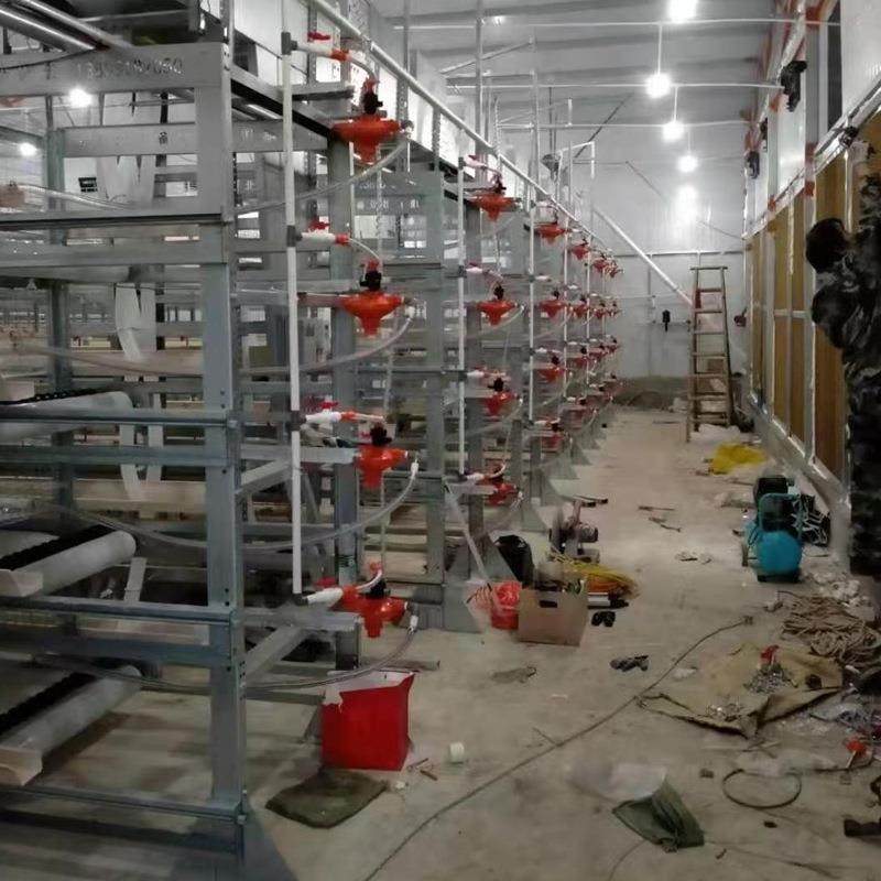 厂家供应全自动肉鸡笼框架肉鸡笼自动化清粪捡蛋养鸡养殖设备,淘宝优惠券,粉丝福利购,淘宝优惠卷