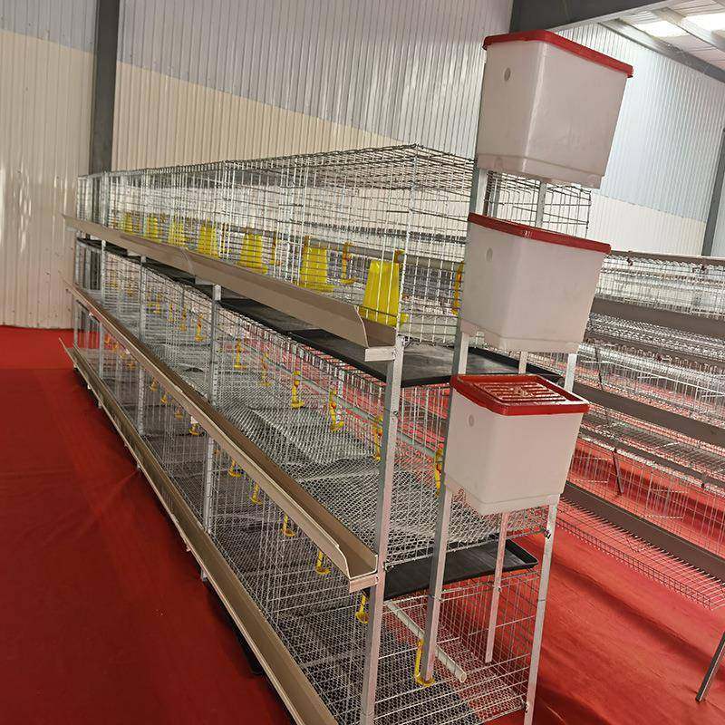 立式三层四层两门冷镀锌后热镀简易肉鸡笼鸡舍养殖场配套齐全坚固,淘宝优惠券,粉丝福利购,淘宝优惠卷