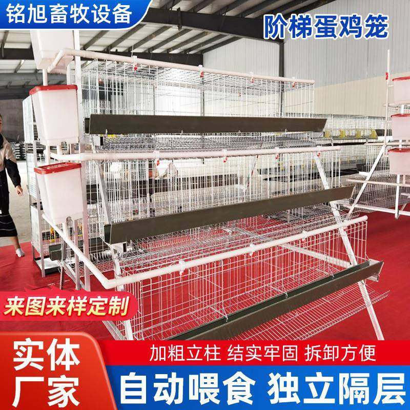 镀锌三层四门阶梯式蛋鸡笼畜牧大密度养殖提高产蛋量镀锌养鸡笼,淘宝优惠券,粉丝福利购,淘宝优惠卷