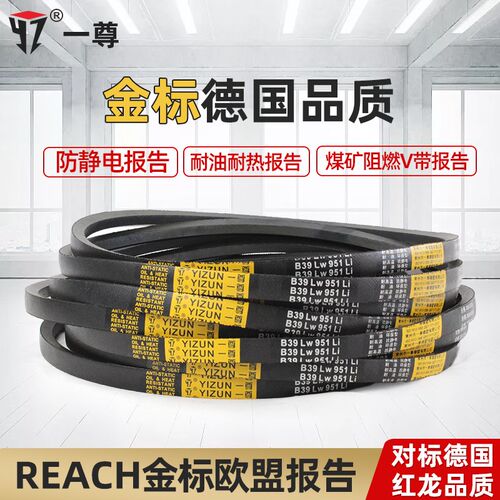 一尊三角带SPC10000/10600/11200/11800/12500/14000橡胶传动皮带 - 图2