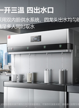 德玛仕商用直饮机商用净水器商用饮水机学校饮水机大出水量