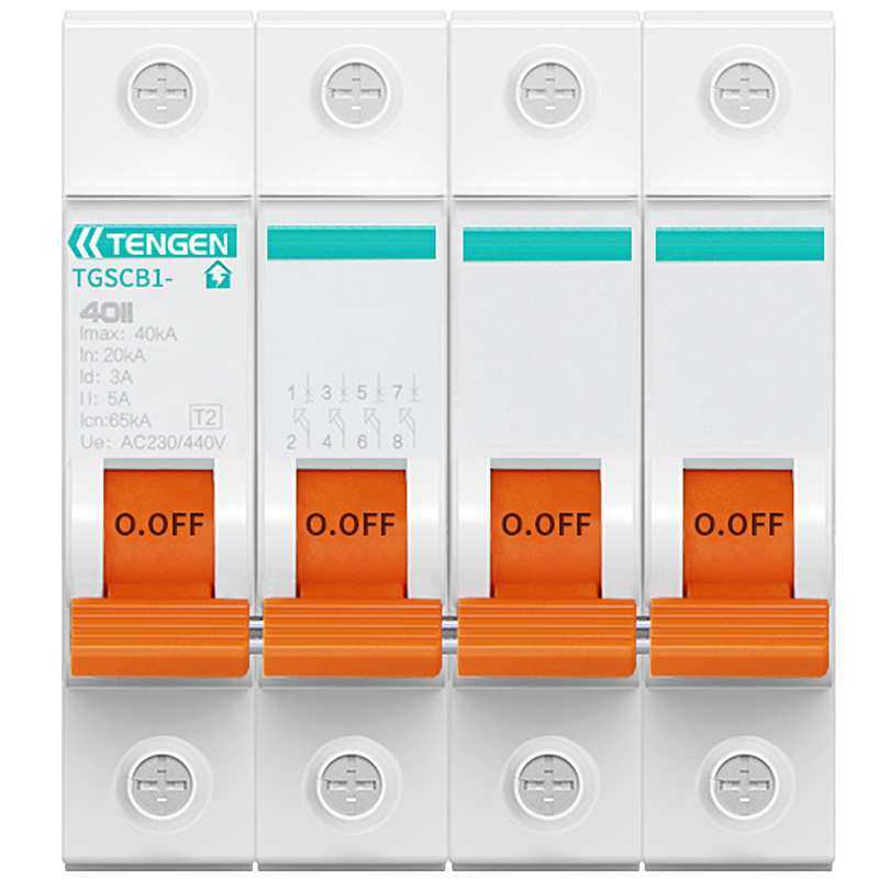 TENGEN天正电气 TGSCB1浪涌后备保护器SPD防避雷器4P前端分断开关,淘宝优惠券,粉丝福利购,淘宝优惠卷