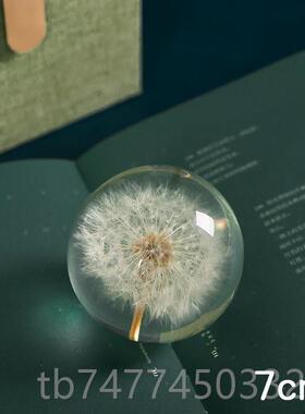 新款蒲公标本脂水晶英球植物摆件滴树胶品永生花镇纸音成乐盒小夜