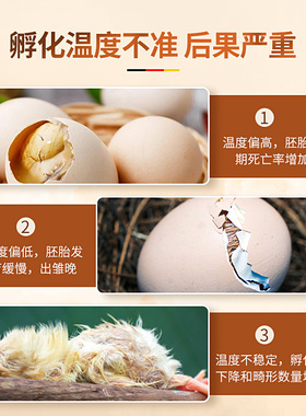温控器孵化专用孵化机温度控制器水床孵化器智能全自动小鸡孵蛋
