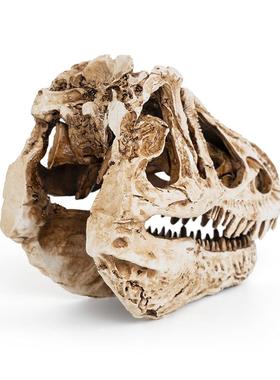 恐龙骷颅头树脂骷髅头霸王龙骷颅头模型骨架科普研究标本参考样本