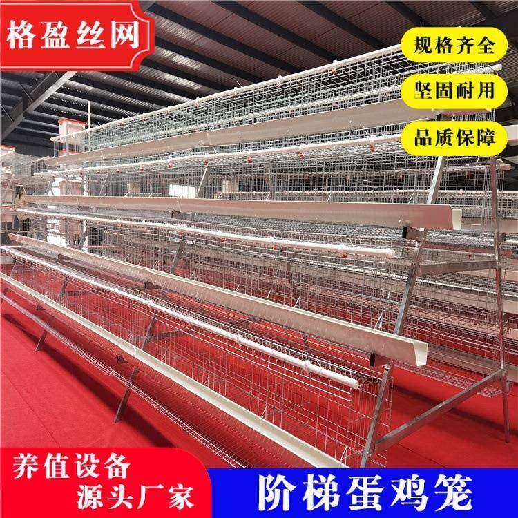 生产厂家各种规格阶梯蛋鸡笼冷热镀锌结实耐用,淘宝优惠券,粉丝福利购,淘宝优惠卷