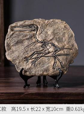 正品曼塔仿公恐龙型化石模复古工艺真品标本摆设霸王龙摆件办室装