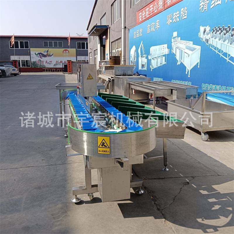 鸡爪琵琶腿全自动重量分选机家禽皮带式料盒式大小分级机牡蛎分选,淘宝优惠券,粉丝福利购,淘宝优惠卷