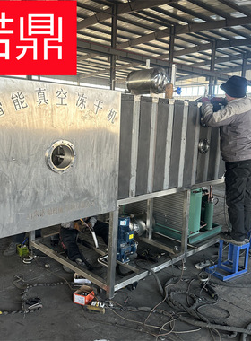 果肉类冻干机 小型水果冻干机器厂家 小平方实验型冻干机 节能