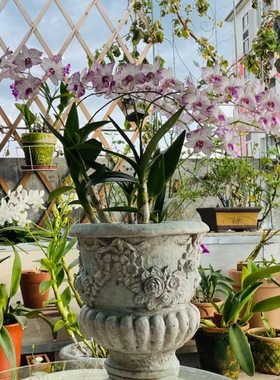 欧式罗马浮雕高脚复古多肉绿植花盆花器阳台户外花园庭院装饰摆件