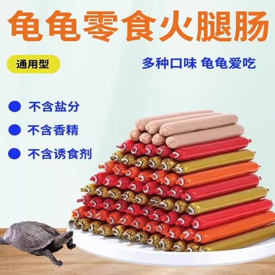 Delicious and salt-free to prevent turtle disease