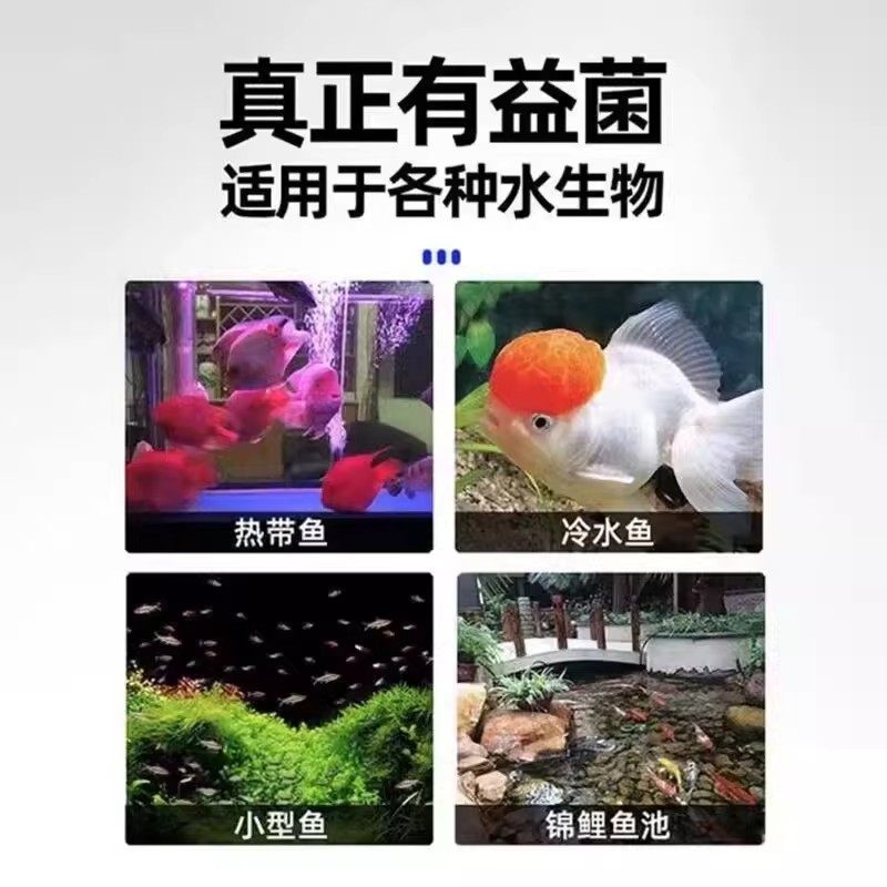 鱼缸硝化细菌胶囊去除腥味水质净化打造空气缸分解鱼粪鱼缸除臭片,淘宝优惠券,粉丝福利购,淘宝优惠卷