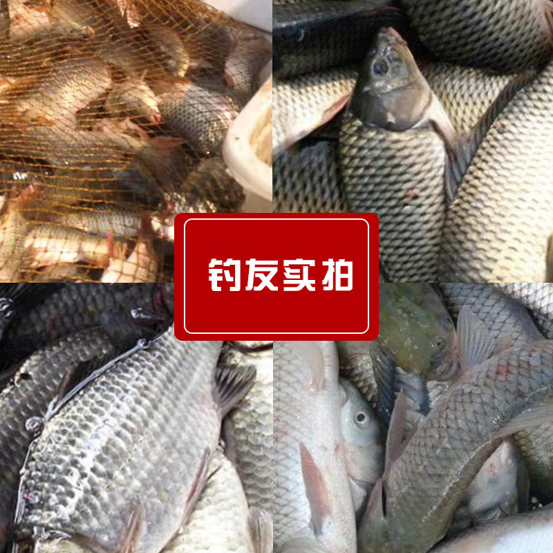 奇迹峰鲢上鲢鳙饵料桶装浮钓大爆炸腥臭大头鱼花白鲢专用手杆,淘宝优惠券,粉丝福利购,淘宝优惠卷