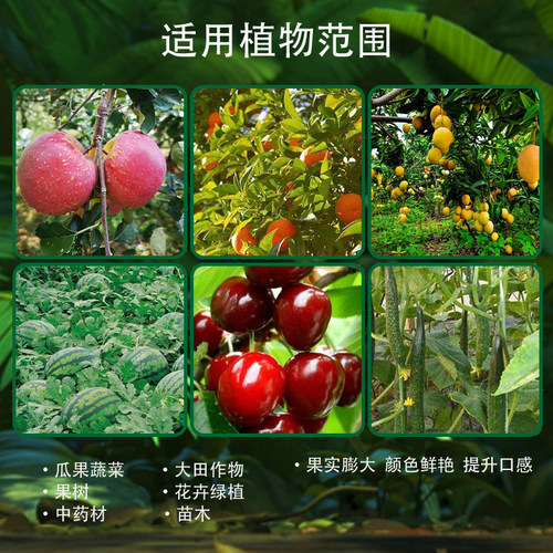邦一季钙镁硼锌铁中量元素防裂膨果增甜着色蔬菜果树绿植通用肥料 - 图2