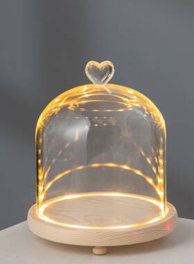 创意永恒花玻璃罩简单现代DIY装饰防尘罩底座夜光灯客厅桌面装饰