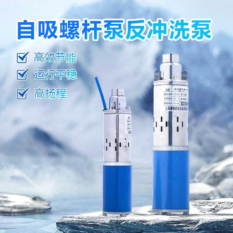 启立不锈钢直流水泵自吸螺杆泵反冲洗水泵鱼池庭院深井家用抽水泵,淘宝优惠券,粉丝福利购,淘宝优惠卷