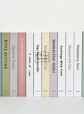 儿童房绘本插画故事样板间装饰真书卡通猫咪摆件英文仿真道具书籍