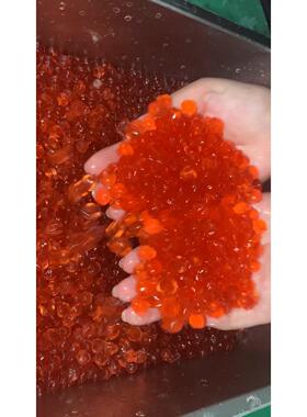 半自动寒天蒟蒻挤出设备提供寒天水晶生产线上海厂家