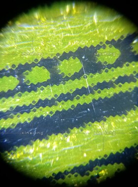 便携式20-40倍放大镜带LED多功能带底座安化黑茶金花高清显微镜