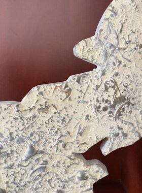 燕子石奇石古生物观赏工艺礼品摆饰礼红科普网包摆件化石地图三叶