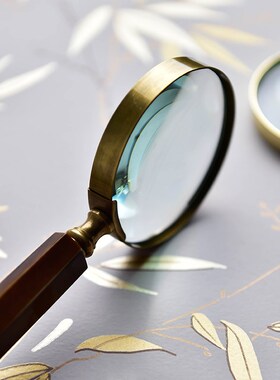 进口复古做旧黄铜实木把柄放大镜摆件样板间客厅卧室书房桌面装饰
