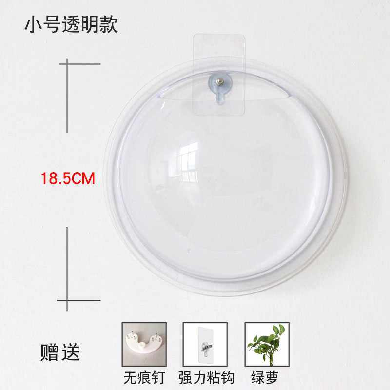壁挂水培创意绿萝绿植花盆挂壁挂墙圆形装饰器皿贴墙花瓶大号王之,淘宝优惠券,粉丝福利购,淘宝优惠卷