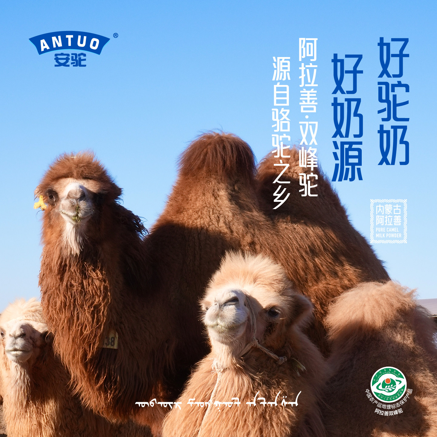 安驼 纯驼奶粉,淘宝优惠券,粉丝福利购,淘宝优惠卷