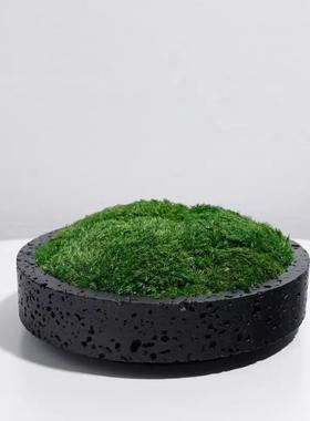 简约现代黑色花盆摆件仿真青苔绿植装饰客厅桌面酒店永生苔藓摆件