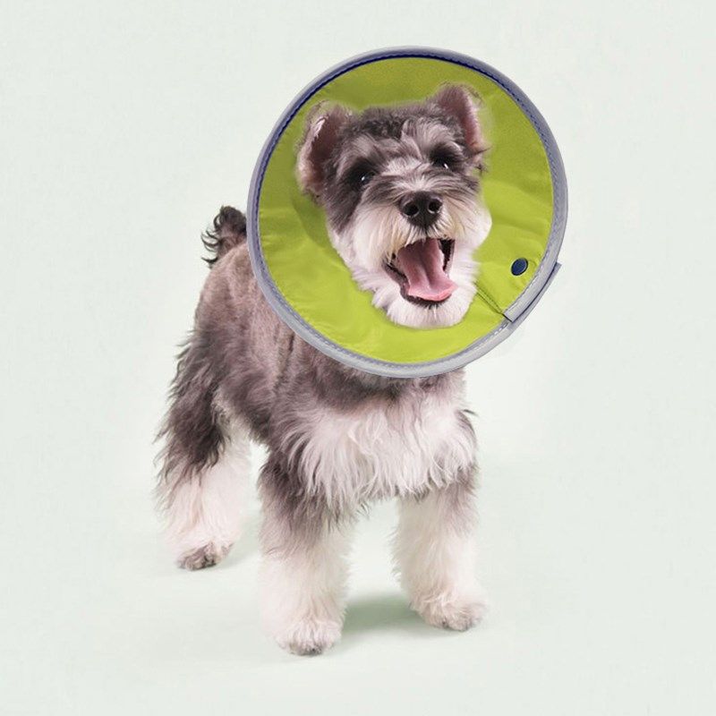 伊丽莎白圈小型犬头套猫咪狗狗脖圈宠物绝育项圈防咬防舔圈,淘宝优惠券,粉丝福利购,淘宝优惠卷