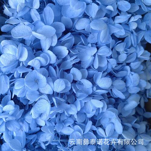 云南永生花木绣球盒装100克现货散装木绣球多色可选保鲜花 - 图1