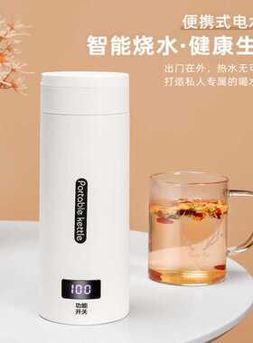 美规欧规便携式电加热水杯旅行烧水壶小型迷你电热水壶家用烧水杯