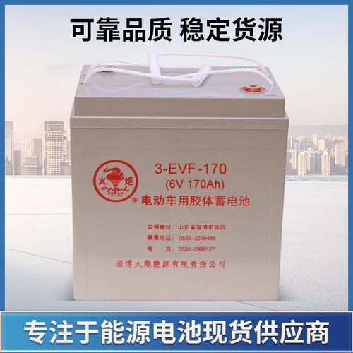 火炬蓄电池免维护铅酸电池电动车电瓶胶体汽车电动6V12V200/150AH - 图2