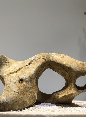 太湖石 假山盆景石头小摆件鱼缸造景附石观赏石天然石材原石抱石