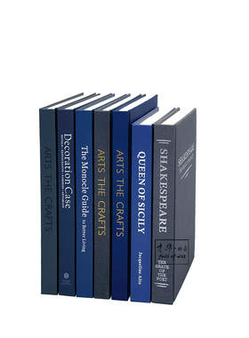 简莱因蓝色风格装饰真书样板间书房层架摆件拍照道具