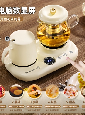 志高家用小型煮茶器办公室玻璃烧水壶智能保温多功能煮咖啡养生壶