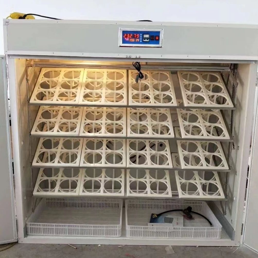 孵化机鸵鸟蛋孵化器鸸鹋孵化箱澳洲鸵鸟孵化设备孵蛋器恒温孵化,淘宝优惠券,粉丝福利购,淘宝优惠卷