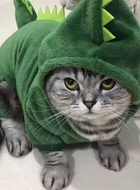 Pet Cat Clothes Puppy Dog Cat Funny Dinosaur Costume Winter