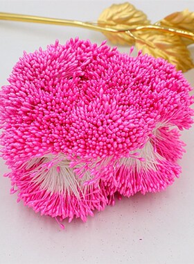 900pcs/lot Random Mixed Double Heads DIY Artificial Mini Pea