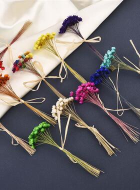 30Pcs Dried Flowers UV Resin Filler Mini Brazil Star Chrysan