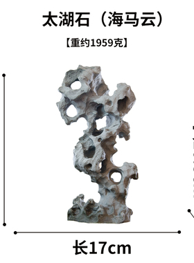 仿真太湖石小摆件客厅阳台庭院微型沙盘盆景鱼缸假山石水景观造景