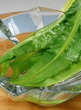 仿真蔬菜模型假生蔬菜西兰包菜心葱香菜蒜道具橱柜家居样版房装饰