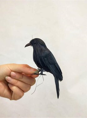 Simulation crow ornaments feather exhibitZion winged bird H